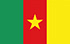 TGM Surveys for earning cash in Cameroon